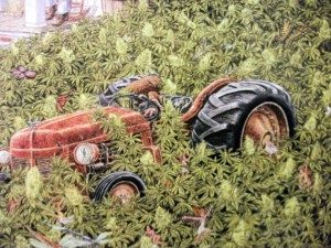 marijuana themed art piece